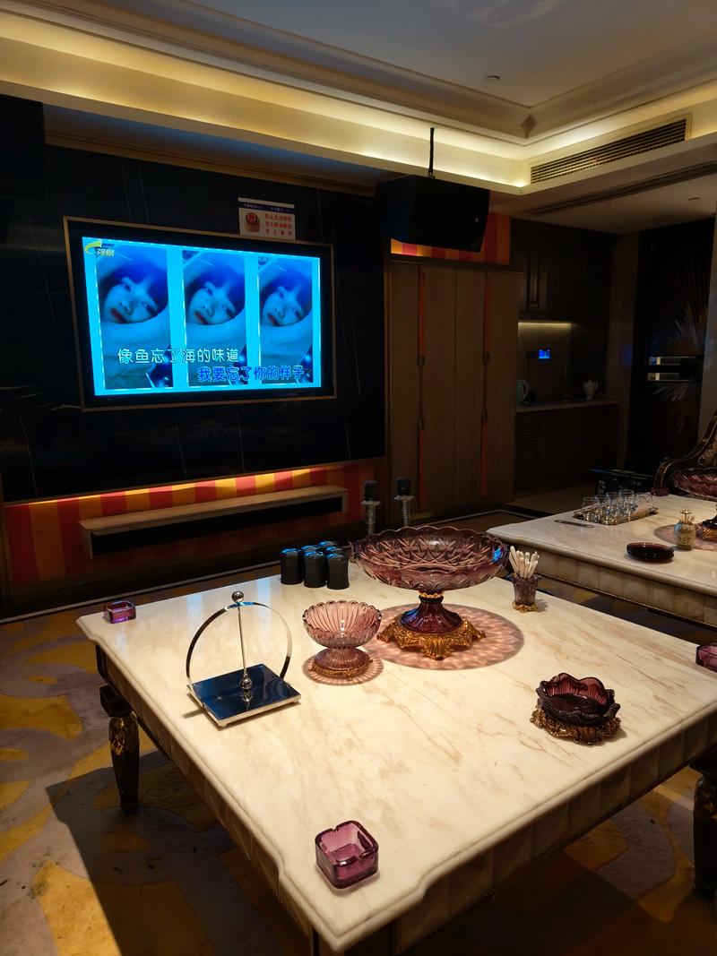 双鸭山商务ktv怎么玩全攻略-友谊县ktv预定